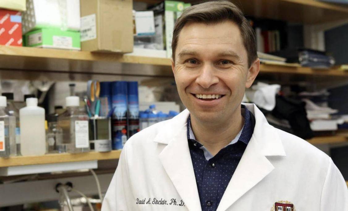 哈佛教授大卫·辛克莱:未来50年,发达国家平均寿命可以达到113岁_细胞