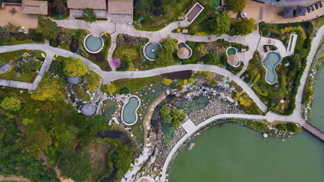 双早双晚餐 水乐园,湖景汤泉 航母级遛娃&团建配套~_翔顺_茶园_产品