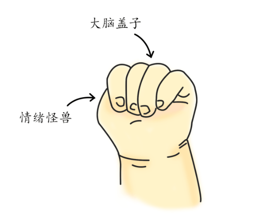 《正面管教》里一个挺形象的理论——″掌心大脑″,清晰又简单地演示