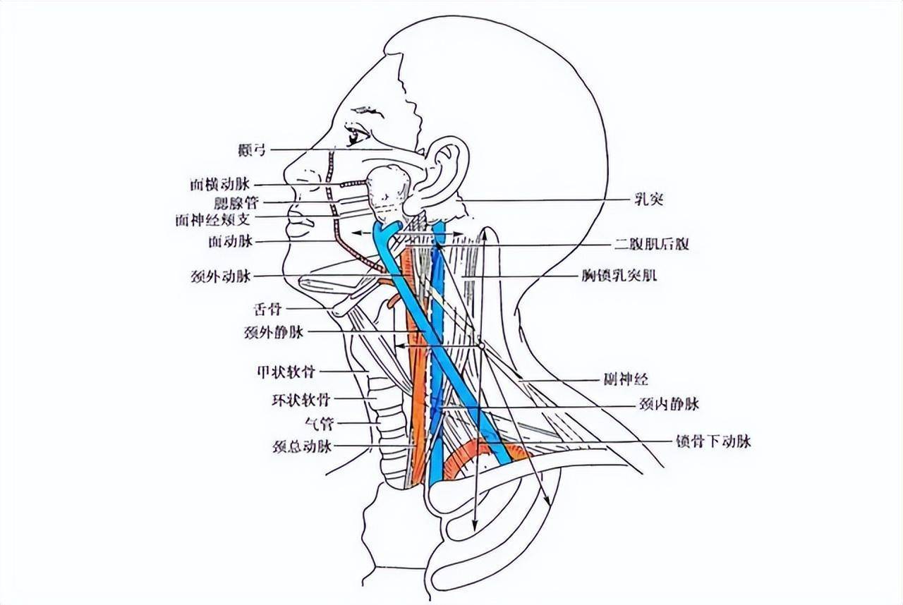 施展起来能吓自己一跳 人类身上