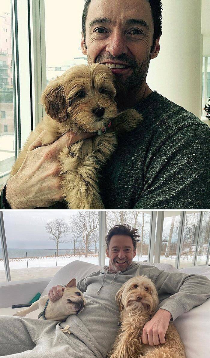 30张照片告诉你明星都养什么狗,网友:巨石强森你那个是狗吗_凯莉