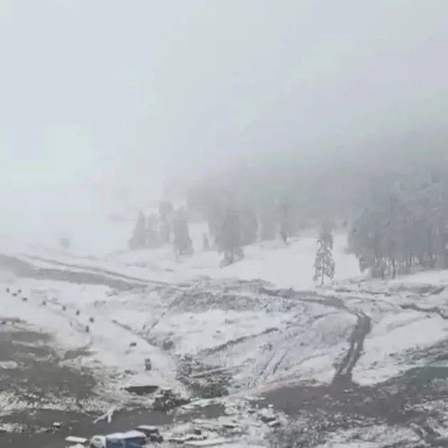 热搜！新疆下雪了！网友：能下一点到江西不咯 青河 山区 景区