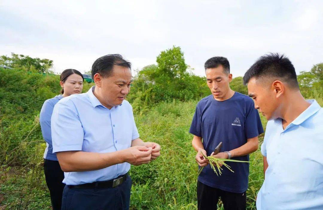 汪功胜调研时强调…_生产_工作_旱情