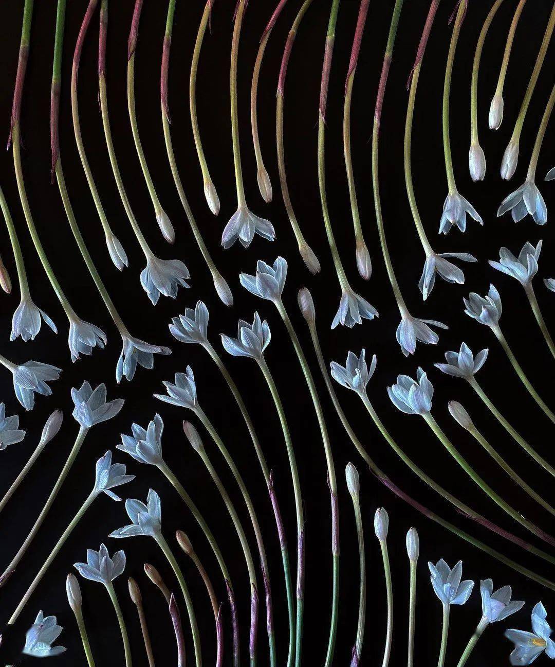 《旧约61何西阿书》里说,种风者将收获风暴,恶者必将食恶果.