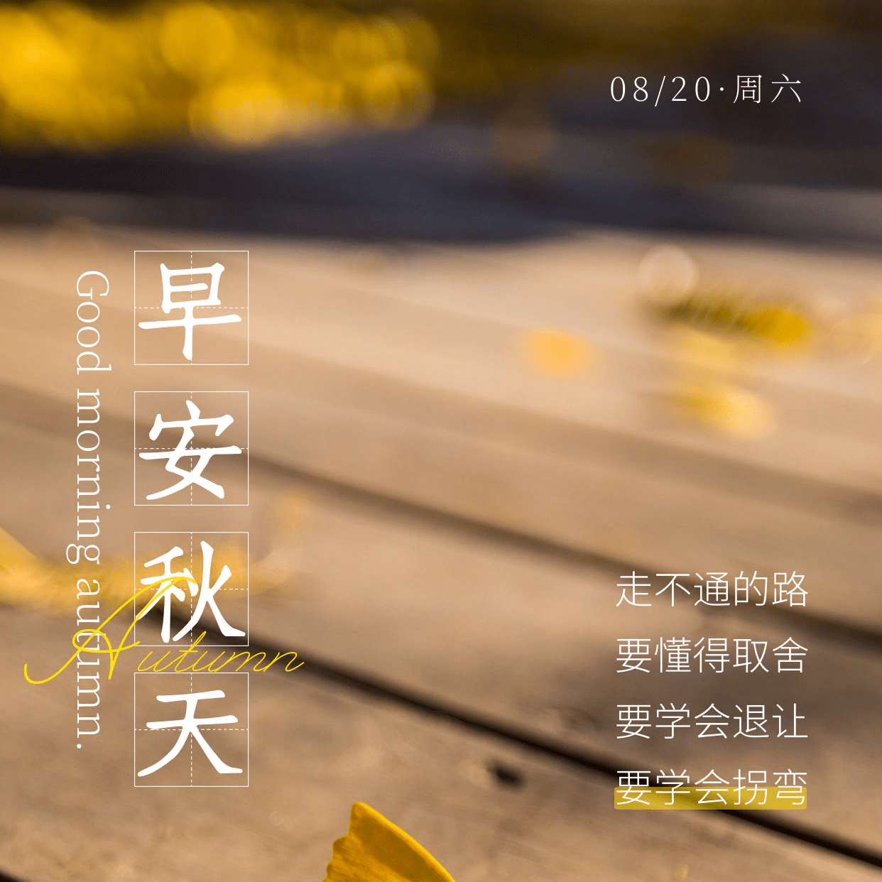 清晨,最棒一段话!_取舍_平常心_平安