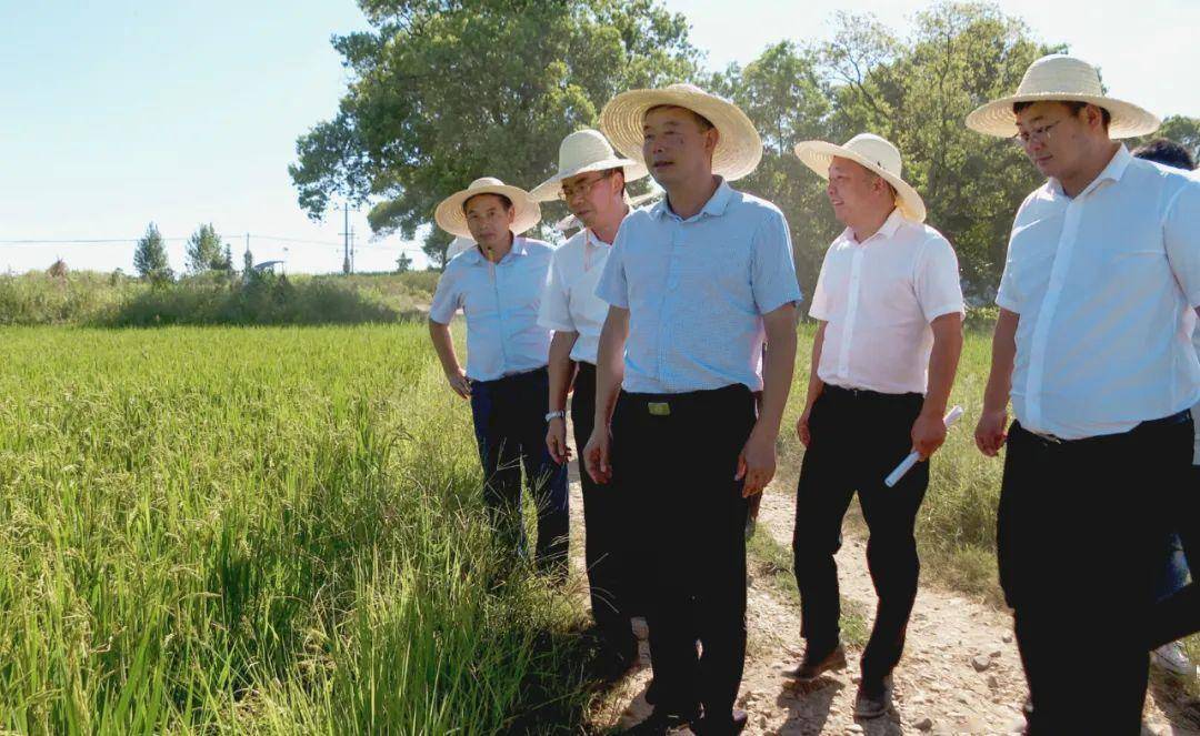 徐九生来我市调研防旱抗旱工作_口镇_旱情_指导组