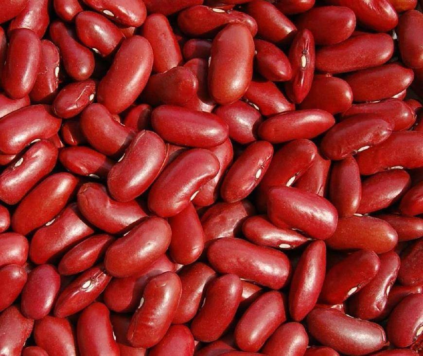 红扁豆(红雪豆),清肝用.