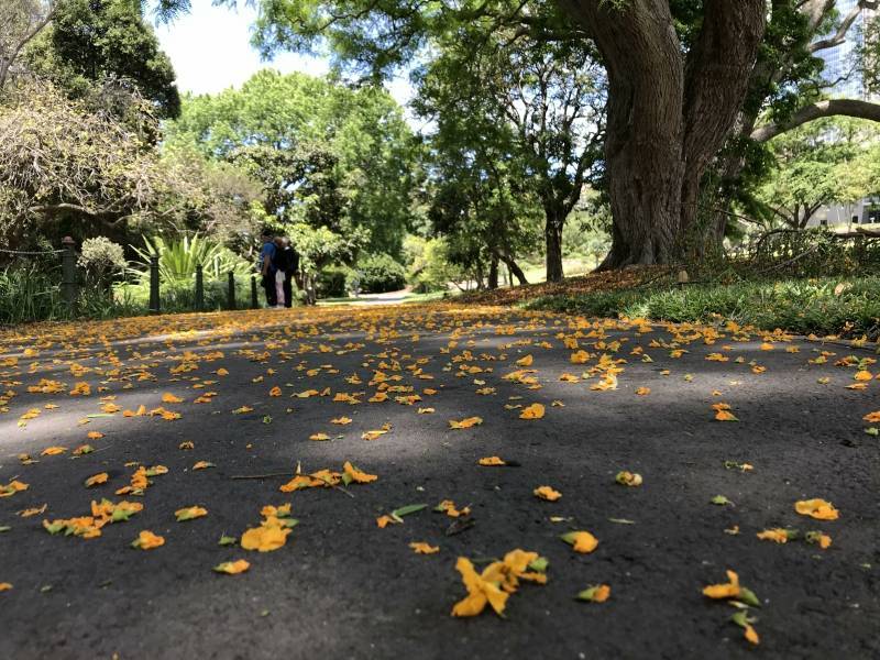 新加坡科廷大学研究生申请条件,在学历条件上,需要国内大学本科毕业