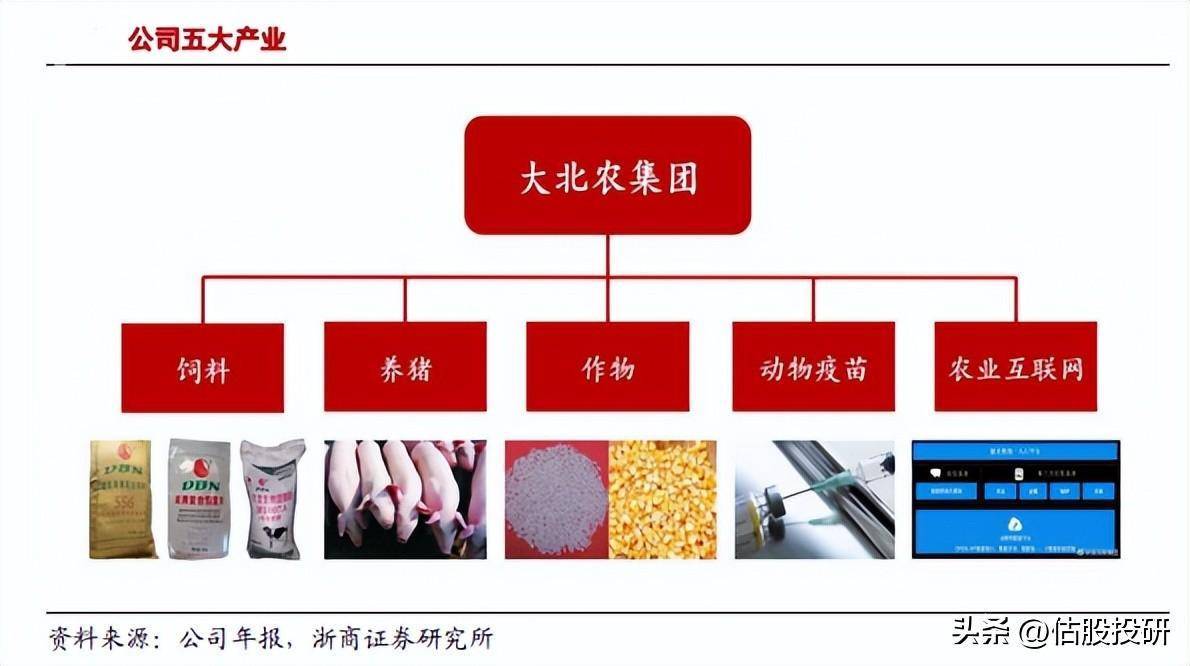 大北农长期投资价值分析/全面剖析基本面_公司_饲料_邵根伙