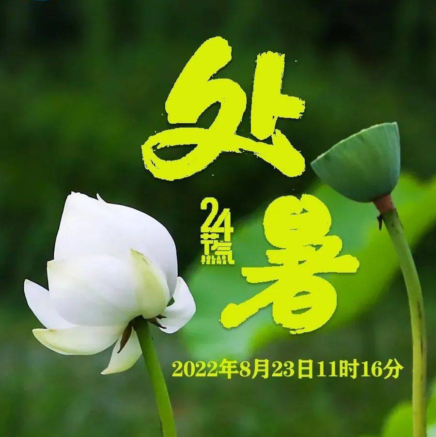 今日处暑 凉凉已在路上了_郑 宸_农技_月令