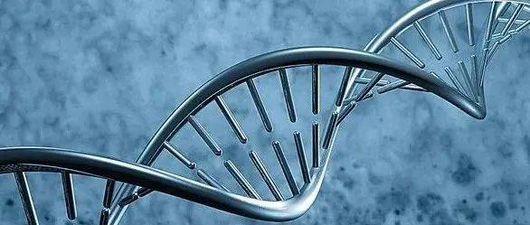 【爱科学】遗传学和DNA的发现_孟德尔_植株_研究