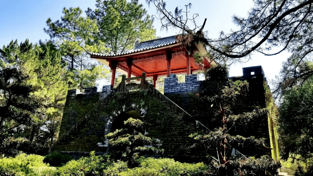 呼吸森林,醉氧邵武,溪水潺潺等