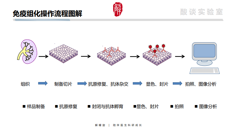 wb实验,rna抽提,pi 染色……你一定要做这14个实验,详尽portocol_检测