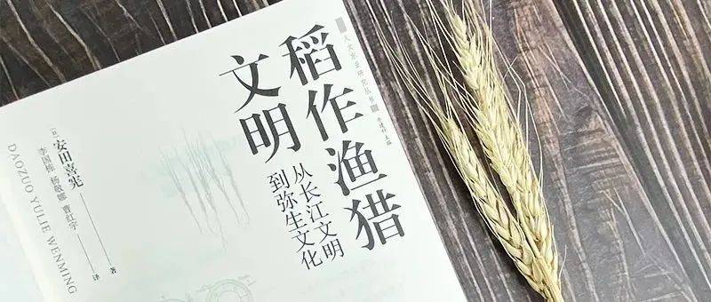 阅读的力量丨稻作渔猎文明——从长江文明到弥生文化_梅原_先生_旅行