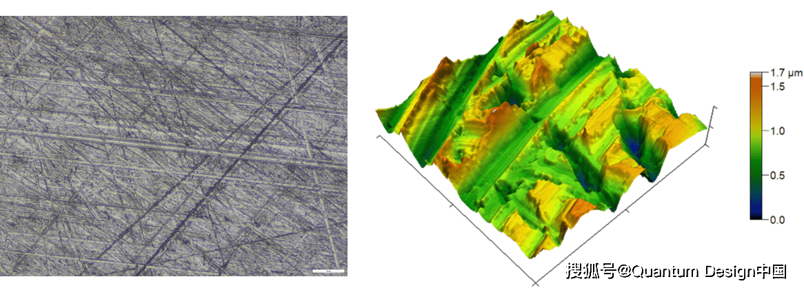 原子力显微镜afm新突破可随身携带一个针尖进行上千次扫描