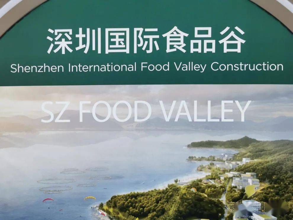 8月25日下午,贵州省党政代表团一行来到深圳国际食品谷考察学习.