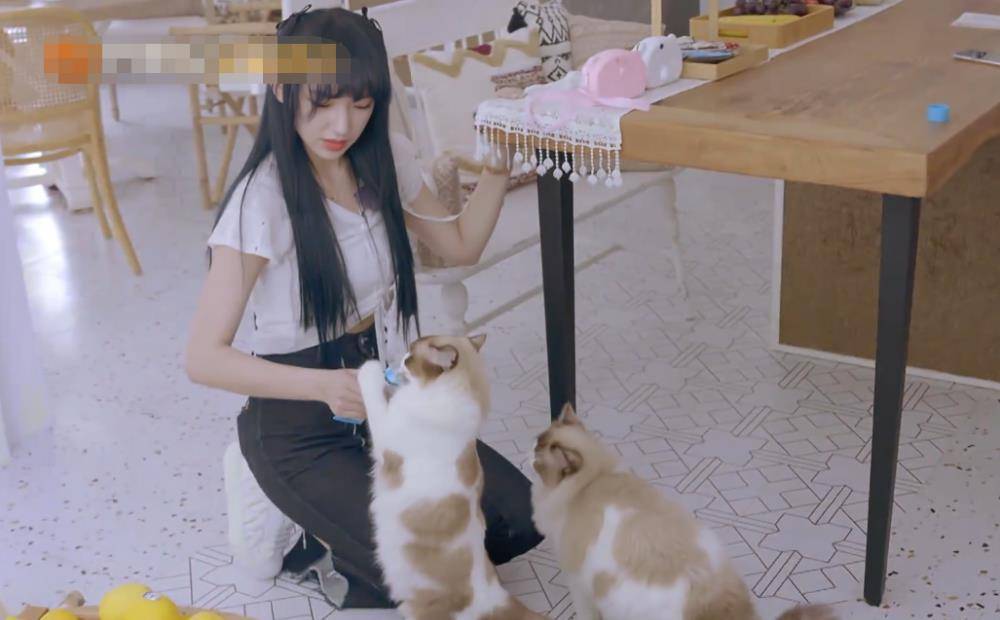 程潇借猫摆拍,谁注意她抱猫时的手势?素质好坏很明显_猫咪_节目_生活