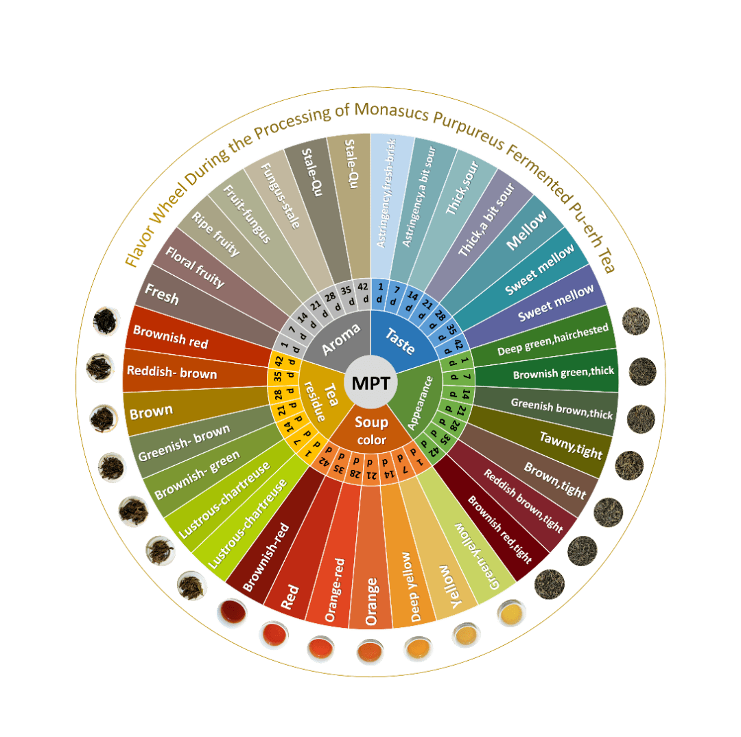 什么是普洱茶风味轮?