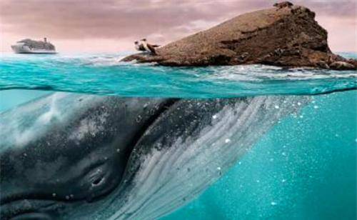 专家在明定陵找到答案_鲸鱼_大鱼_徐福