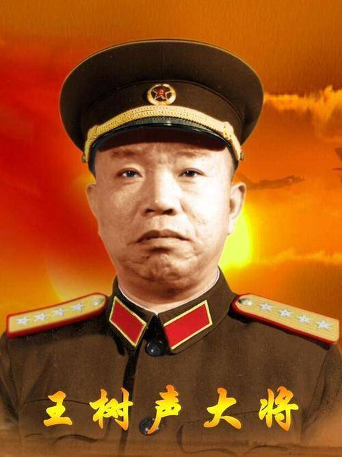 湖北省军区司令员王树声受到黑帮的挑衅,将军说:你吃了豹子胆_大别山_国民党_黑道