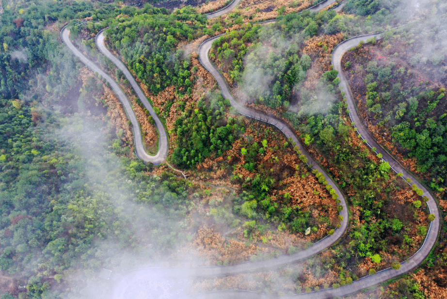 一條路,一片景,走走停停心花盛開……磐安全域旅遊交通綜合改革入選