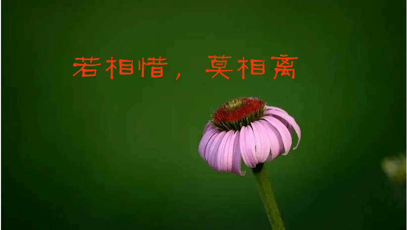 有多少人,从无话不谈到无话可谈;有多少缘,从一朝相逢到一夕离散.