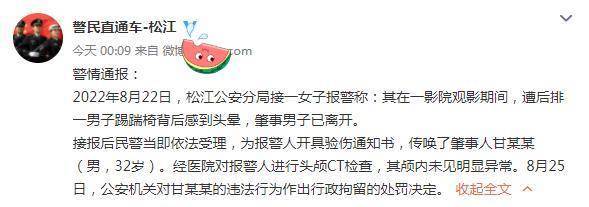 上海一熊孩子家长在影院踢伤女子被拘：儿子和老子，谁害了谁？