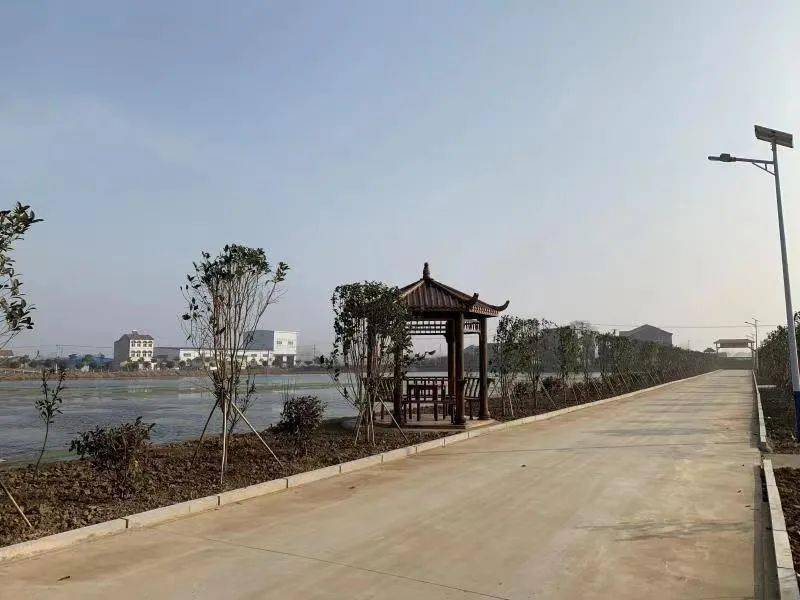 【乡村振兴 共建美丽云梦】沙河乡伍湖村:农旅融合描绘水乡新景