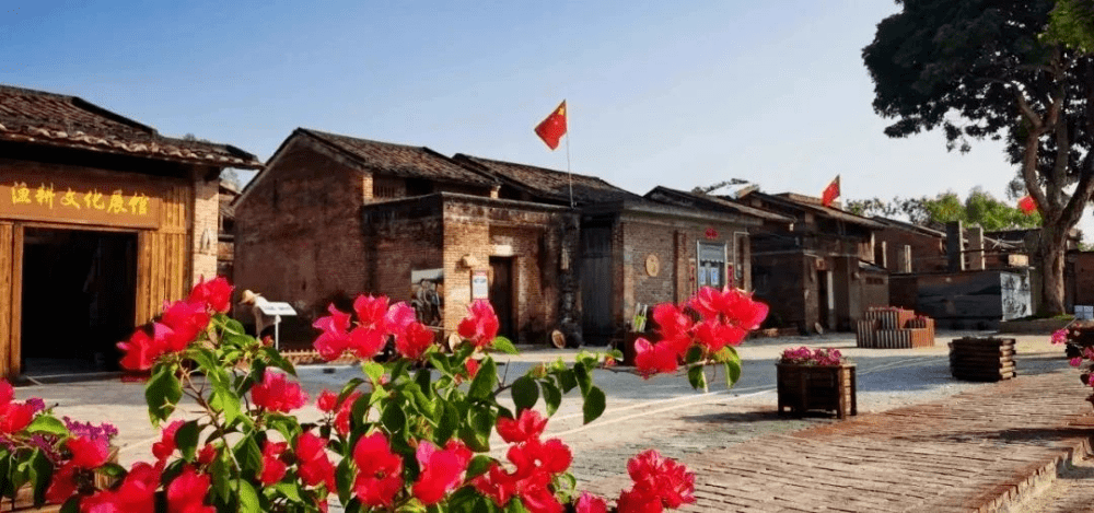 云安区"感悟红色,走进乡村"红色之旅_云浮市_富林镇_文化