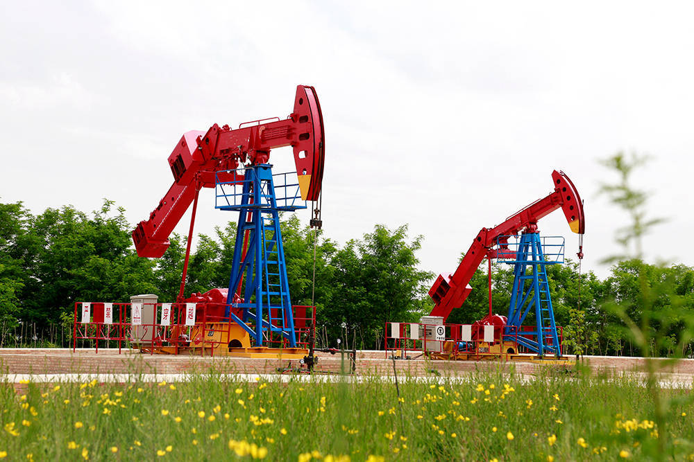 长庆油田采油十二厂：锻造多元队伍彰显担当