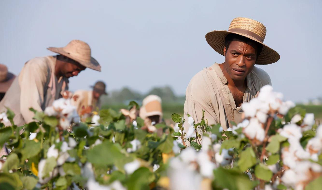 3米长的牛皮鞭子:在种植园里,黑人奴隶最害怕的东西_棉花_工作_任务