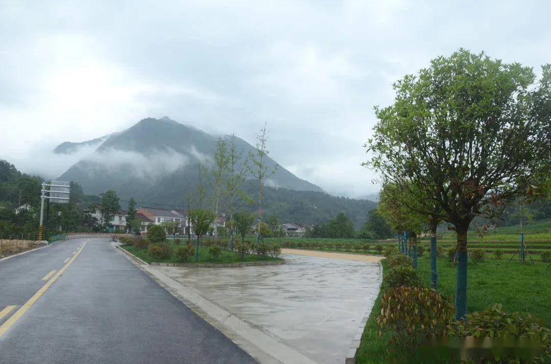 汉中"茶碾"路入围陕西最美乡村公路评选活动_高川镇_交通_商贸