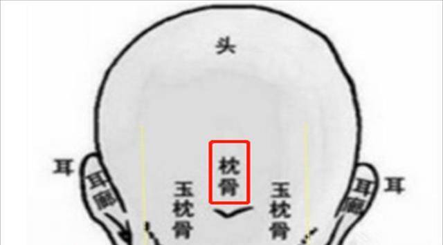 老祖宗口中的"九龙骨"是指什么?_颧骨_眉骨_状态