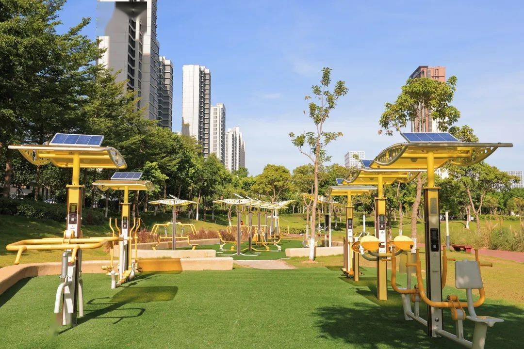 全市首个"室外智能健身房"启用!就在这个公园_居民_科学_设施