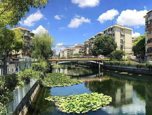 徐汇这里因水而生,以水为媒,建设宜居活力新街道_长桥_科普_河道