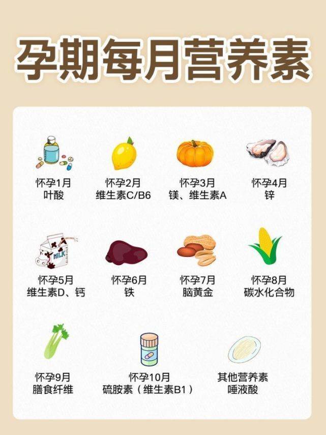 孕期乾貨| 懷孕1~10月怎麼吃?長胎不長肉_補充_食物_建議