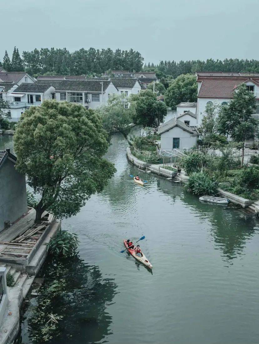 上海最美水上村落，一群高学历青年抱团生活