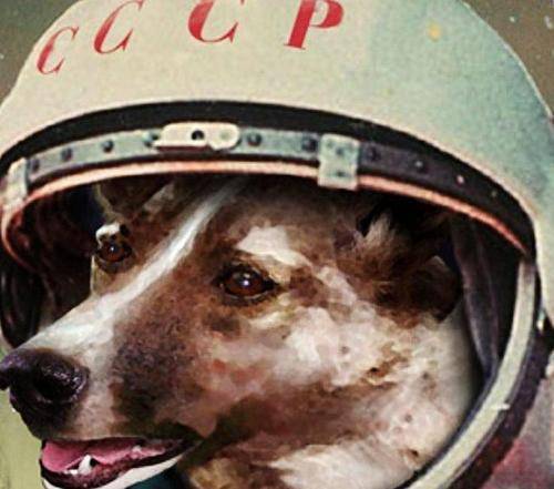 全球第一隻送上太空的小狗，已飄了63年，它至今還在地球軌道流浪