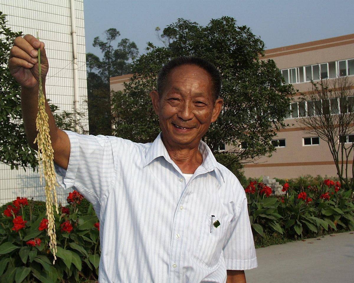 在中国可是家喻户晓,名满天下的大人物,几十年的水稻研究,为中国的