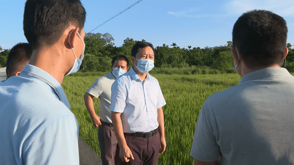 屯昌县长赵英杰:高效统筹疫情防控和农业生产 做到"两手抓,两不误"