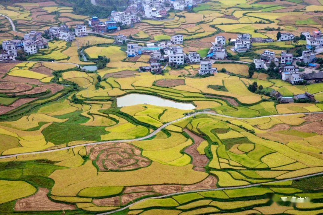 平塘县文艺志愿者赴者密开展采风创作活动_者密镇_美景_田野