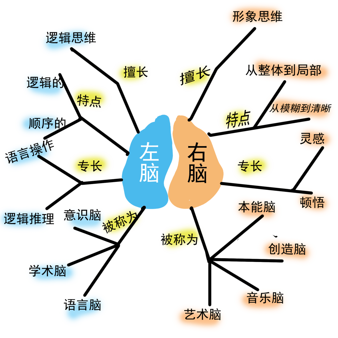 思维导图法步骤详解,从此背诵不再难!_in_has_is