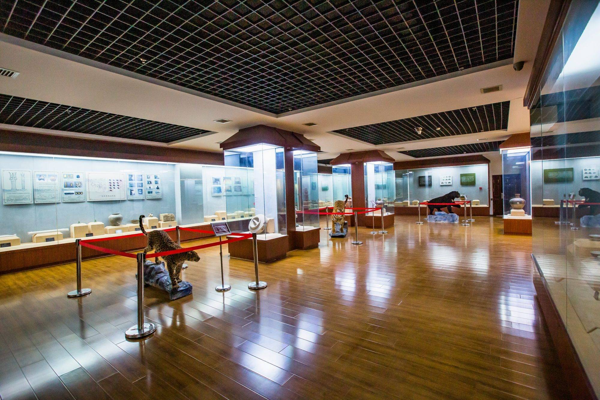甘肃定西博物馆，藏品众多，免门票，展有举世闻名的马家窑文化