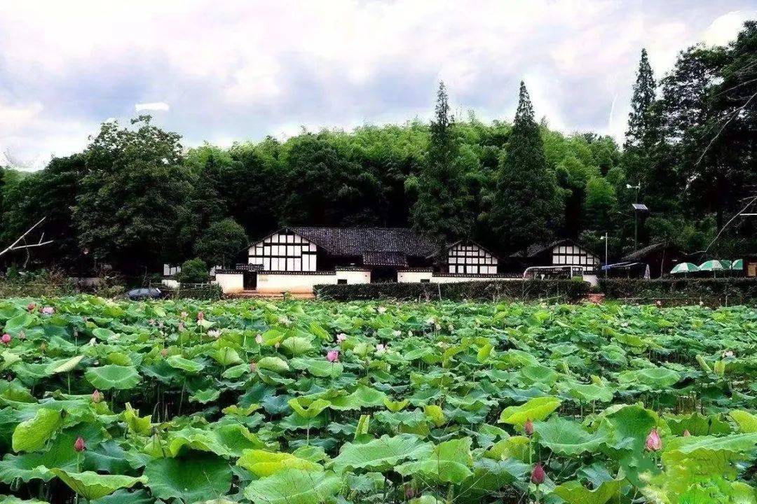 点赞!益阳清溪村上榜中国美丽休闲乡村_谢林港镇_审核_景区