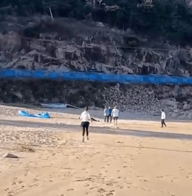 苍南有人玩滑翔伞突发意外摔落沙滩？相关人员回应：人没事，摔落的并非游客