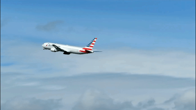 而在这样的高度上,天空中有许多飞行的鸟类,一架飞机高速飞行