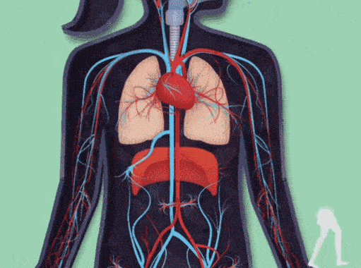 Semaglutide fat | Shaanxi BLOOM Tech Co., Ltd Semaglutide fat | Shaanxi BLOOM Tech Co., Ltd