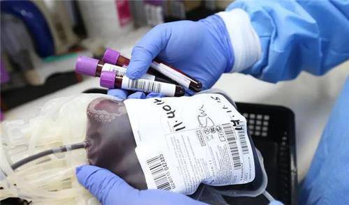 abo血型中的基因突变出了新的a3亚型基因,人类在进化过程当中,基因