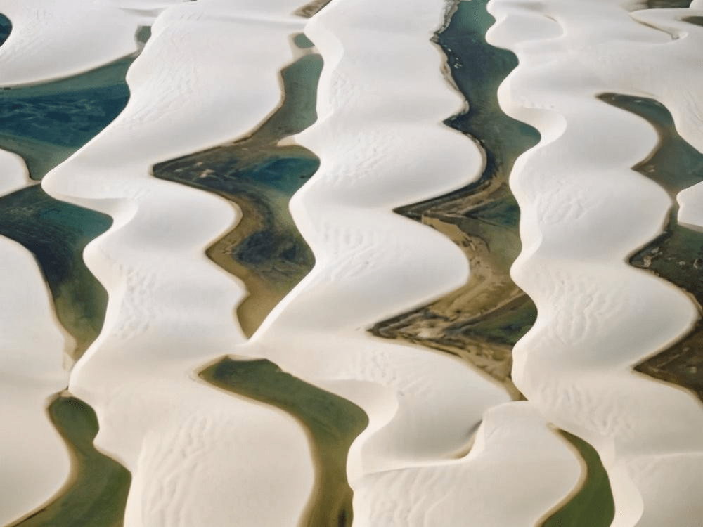 不像沙漠的沙漠，年降水量超过1600毫米，水比沙子还多