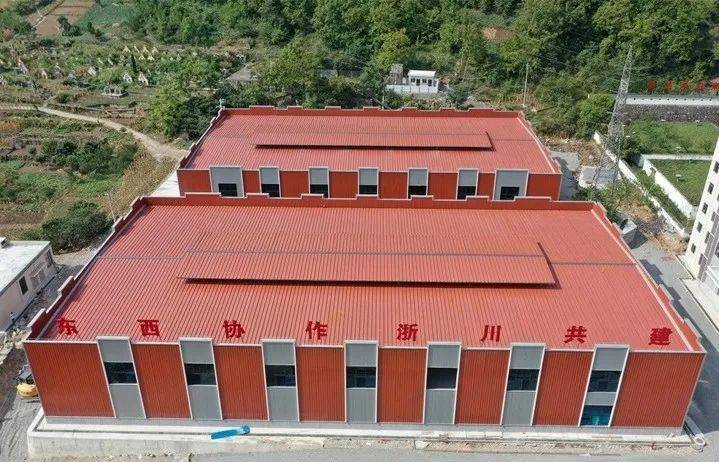 全省首家天麻"食药同源"试点生产企业落户金口河